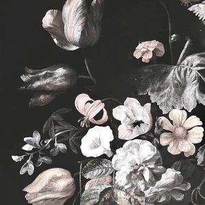 Meet your Posher, Hazel